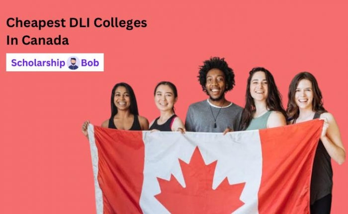 18 Cheapest PGWP-Eligible DLI Colleges in Canada